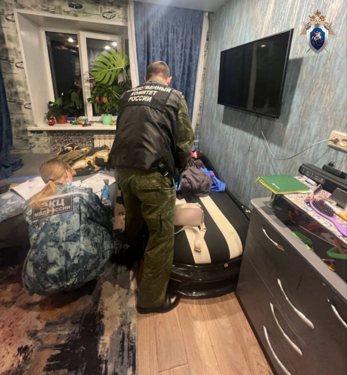 У напавшей на сына красноярки выявили психическое расстройство