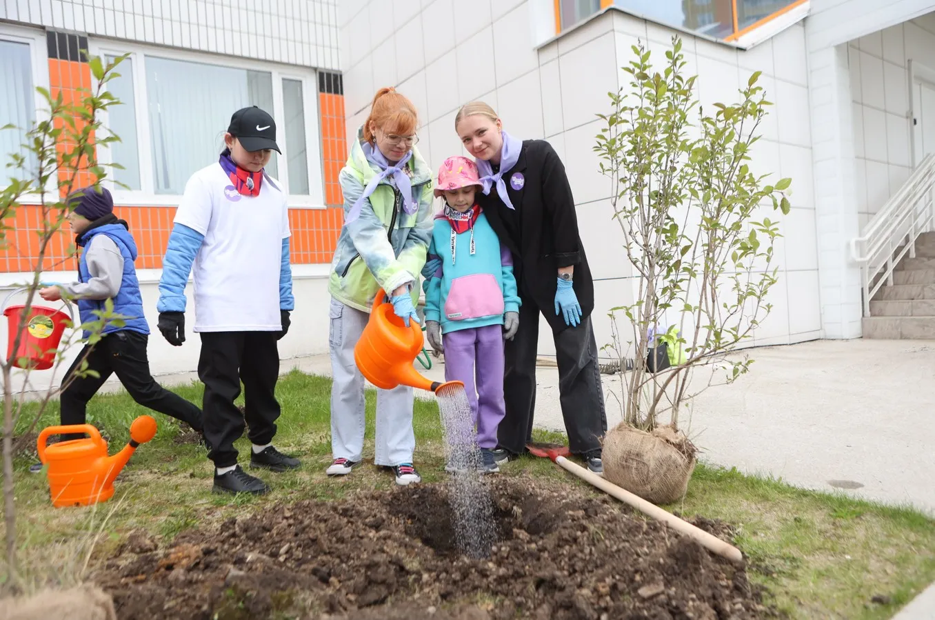 Сиреневый день
шуклин
