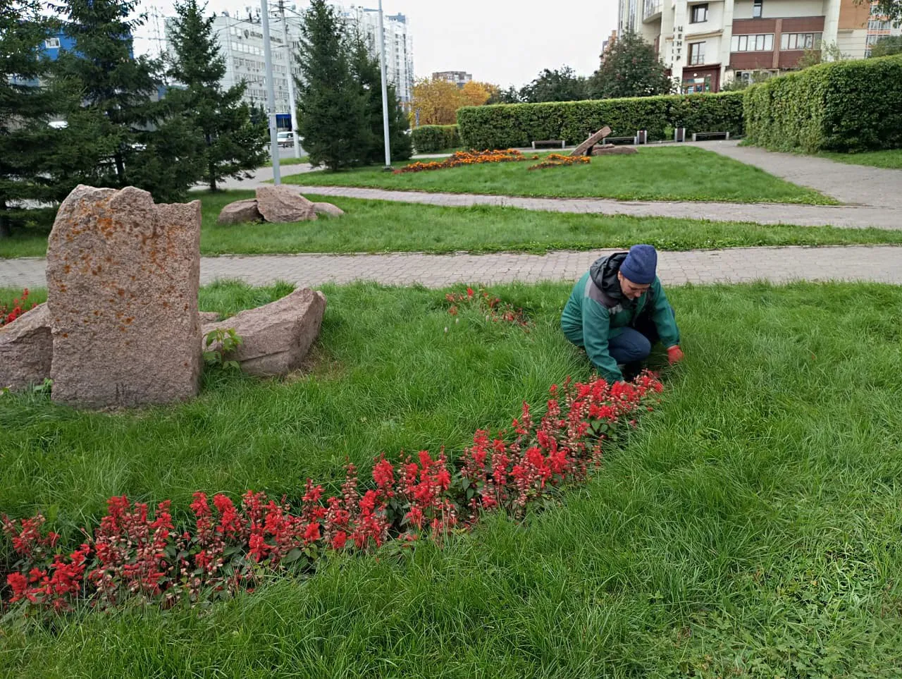 В Красноярске начали убирать цветники