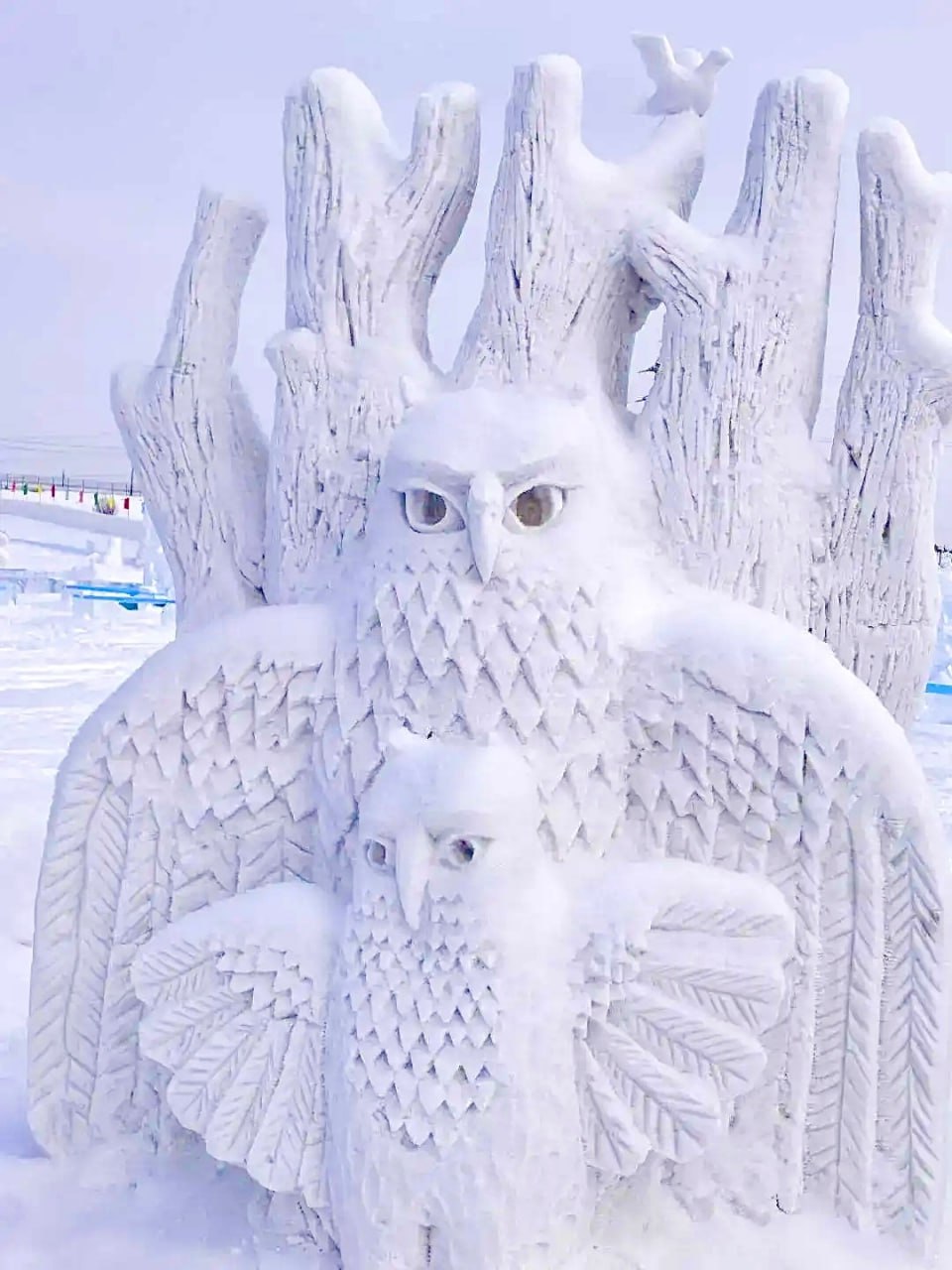 photo_2026-03-03_11-56-22 (2).jpg photo_2026-03-03_11-56-22 (2).jpg