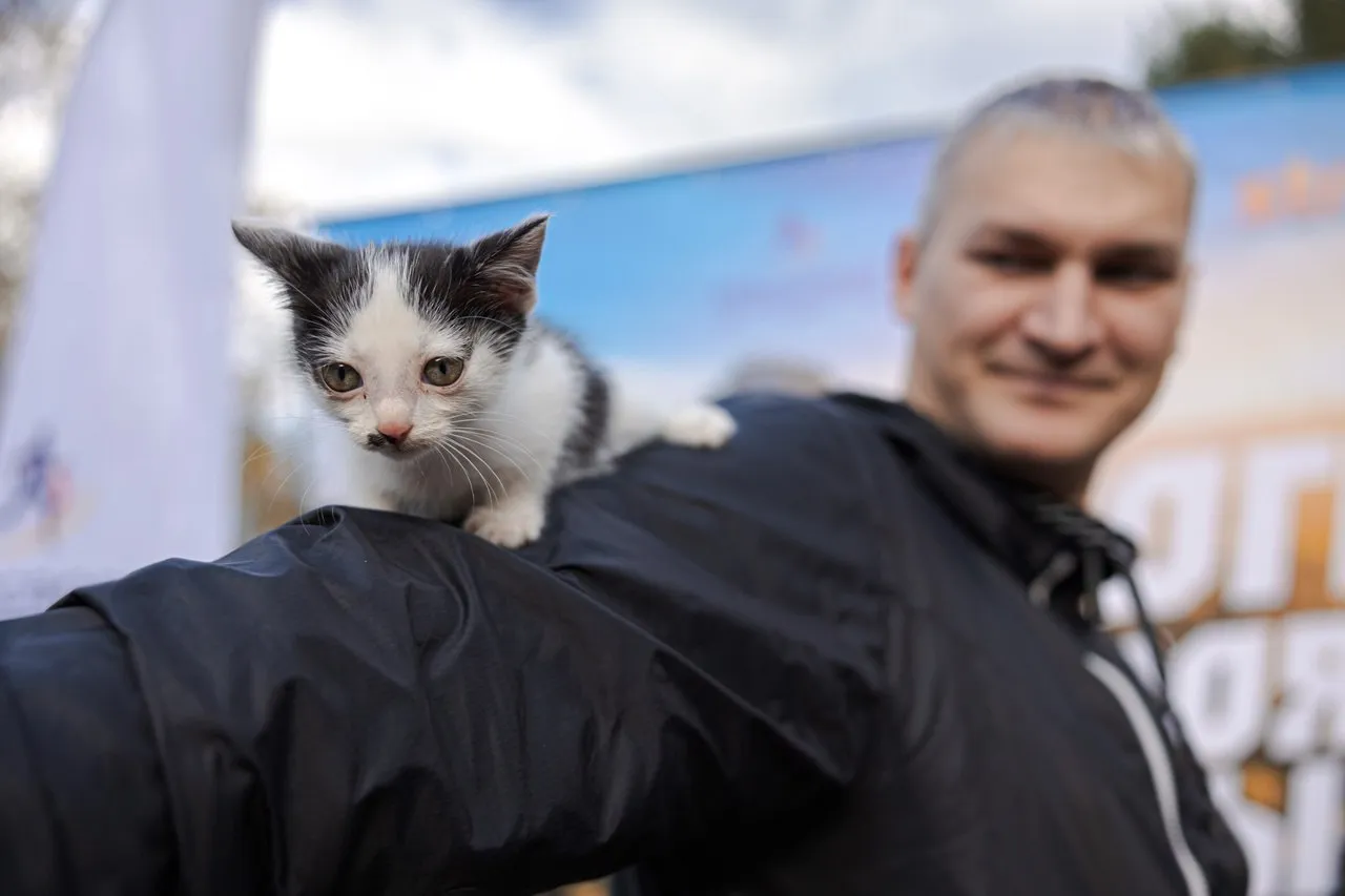 Красноярцы нашли брошенных в лесу котят во время соревнований по рогейну на «Столбах»