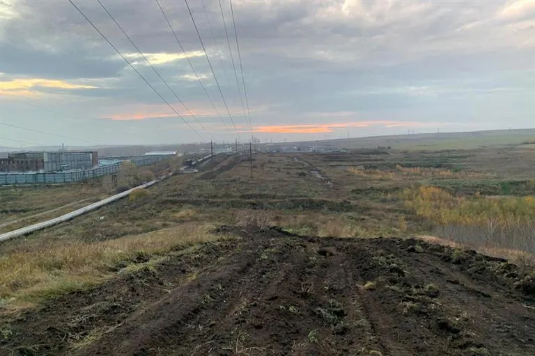 Красноярск защитят от лесных пожаров минерализованными полосами