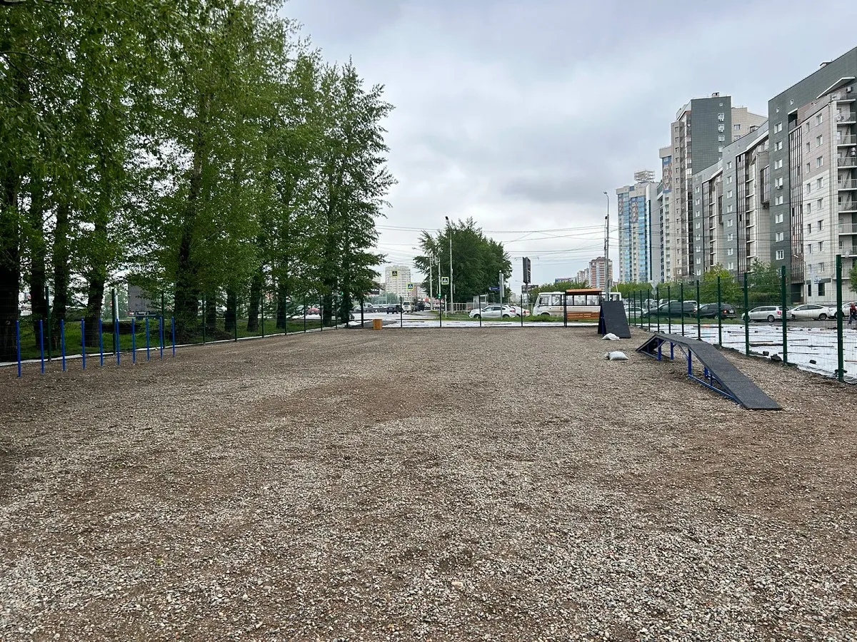 В Свердловском районе Красноярска открыли новую площадку для выгула собак
