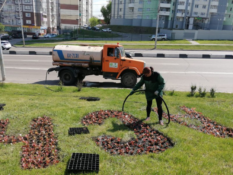 В Красноярске из-за жары усилили полив уличных деревьев и кустарников