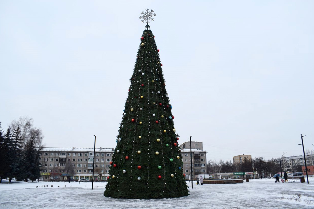 В Красноярске на площади Свердлова поставили 15-метровую елку