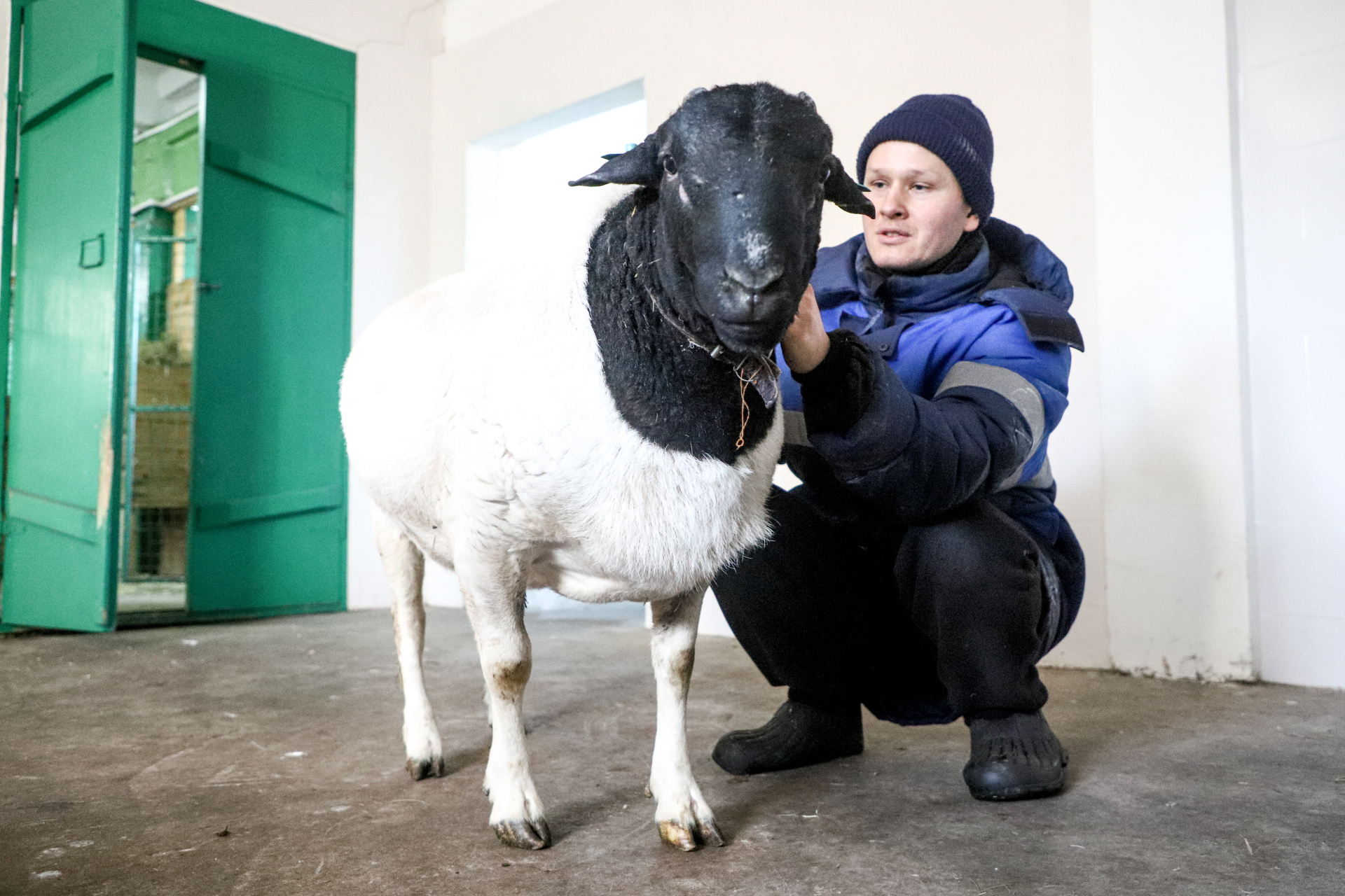 D-IMG_1586.jpg D-IMG_1586.jpg