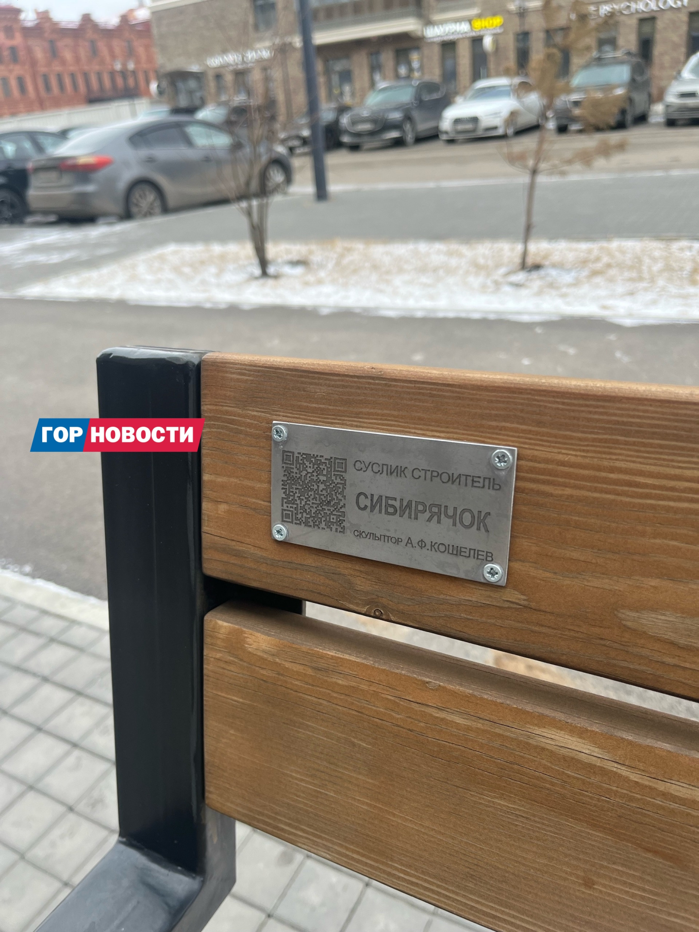 суслик 2.jpg суслик 2.jpg