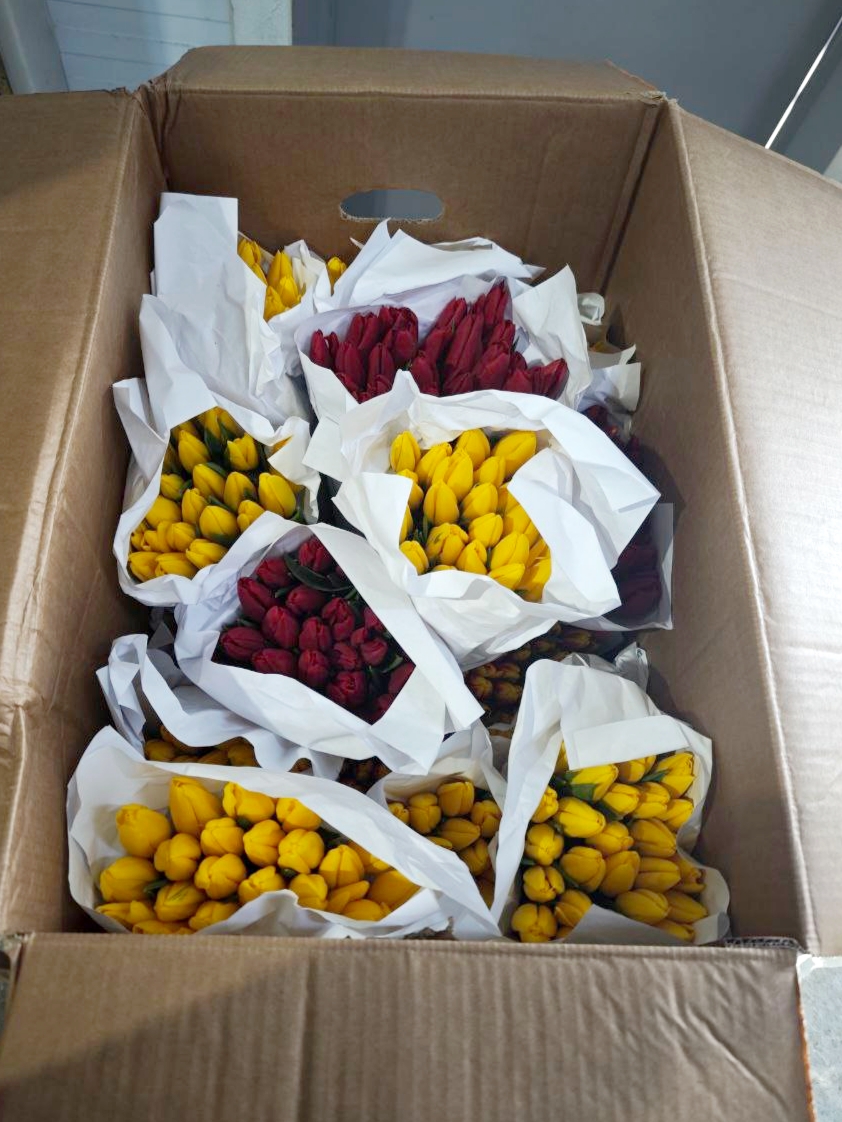 Фото1.jpg Фото1.jpg