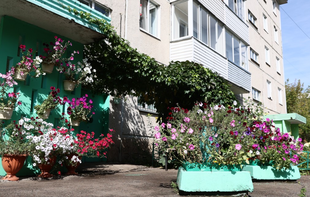 В Советском районе Красноярска стартовал онлайн-конкурс по благоустройству «Я – хозяин своего двора»