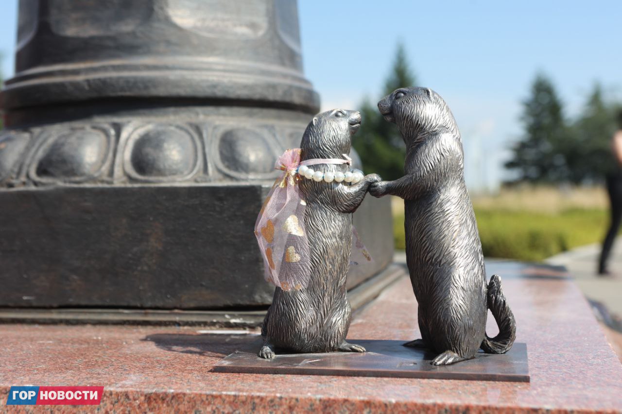 Фото: Михаил Шуклин