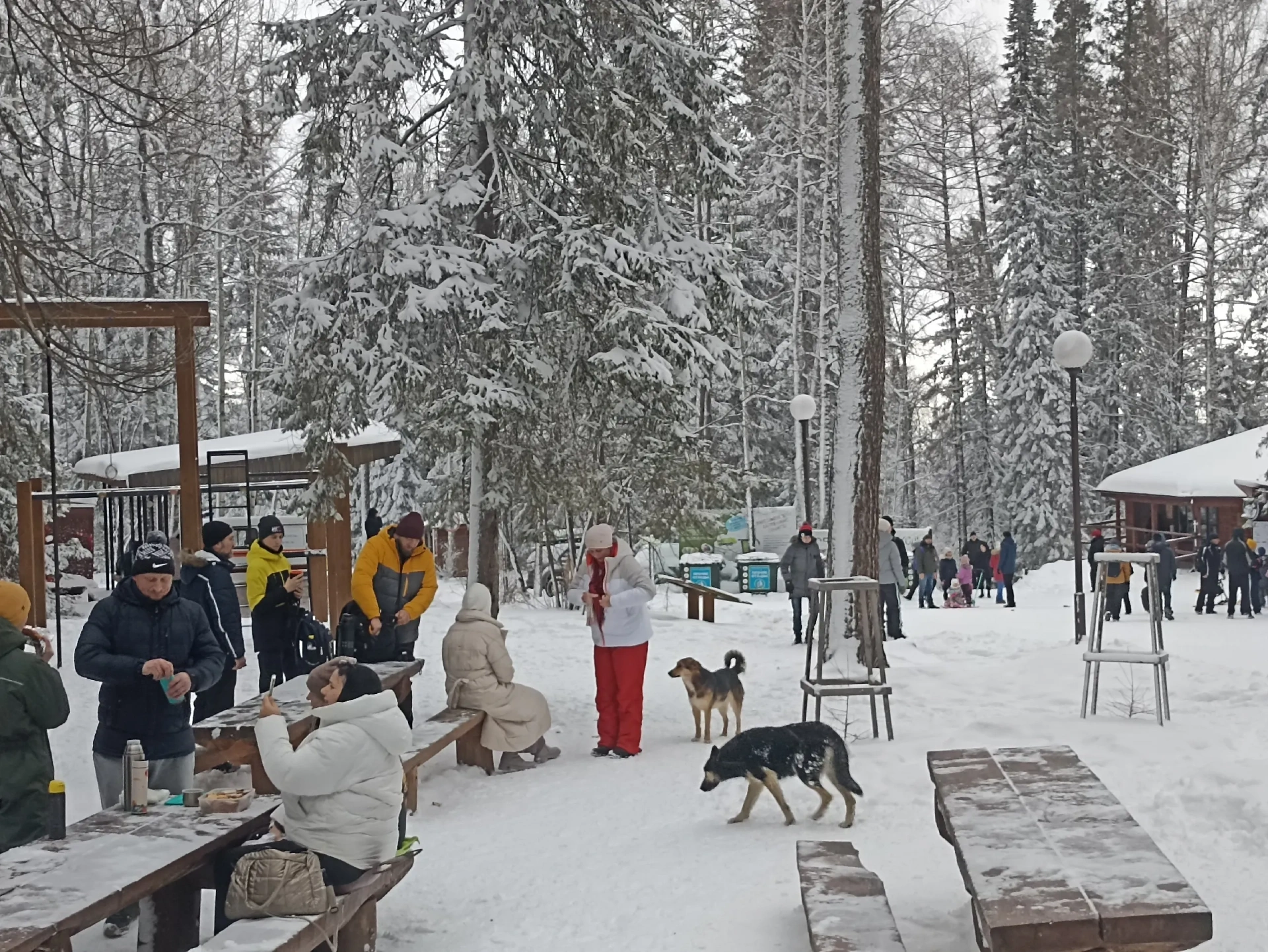Туалеты на Красноярских Столбах стали платными