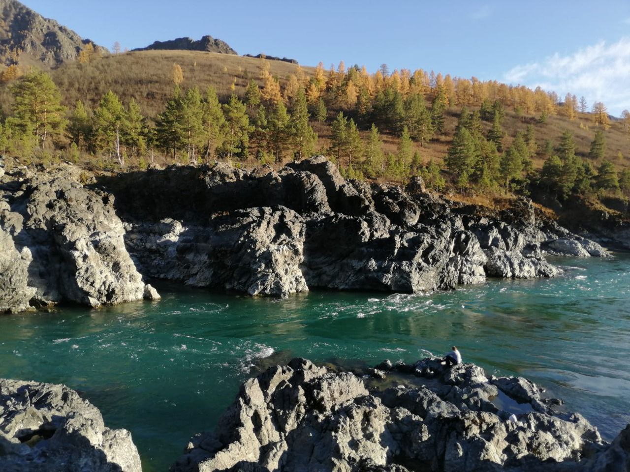 Красноярцы предпочитают Манжерок
