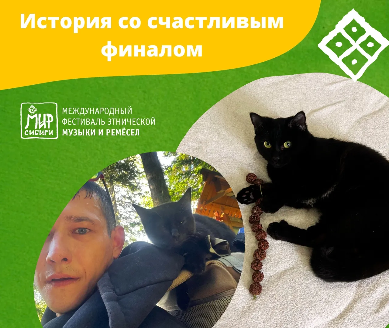В Красноярском крае нашли пропавшего летом на фестивале «МИР Сибири» кота