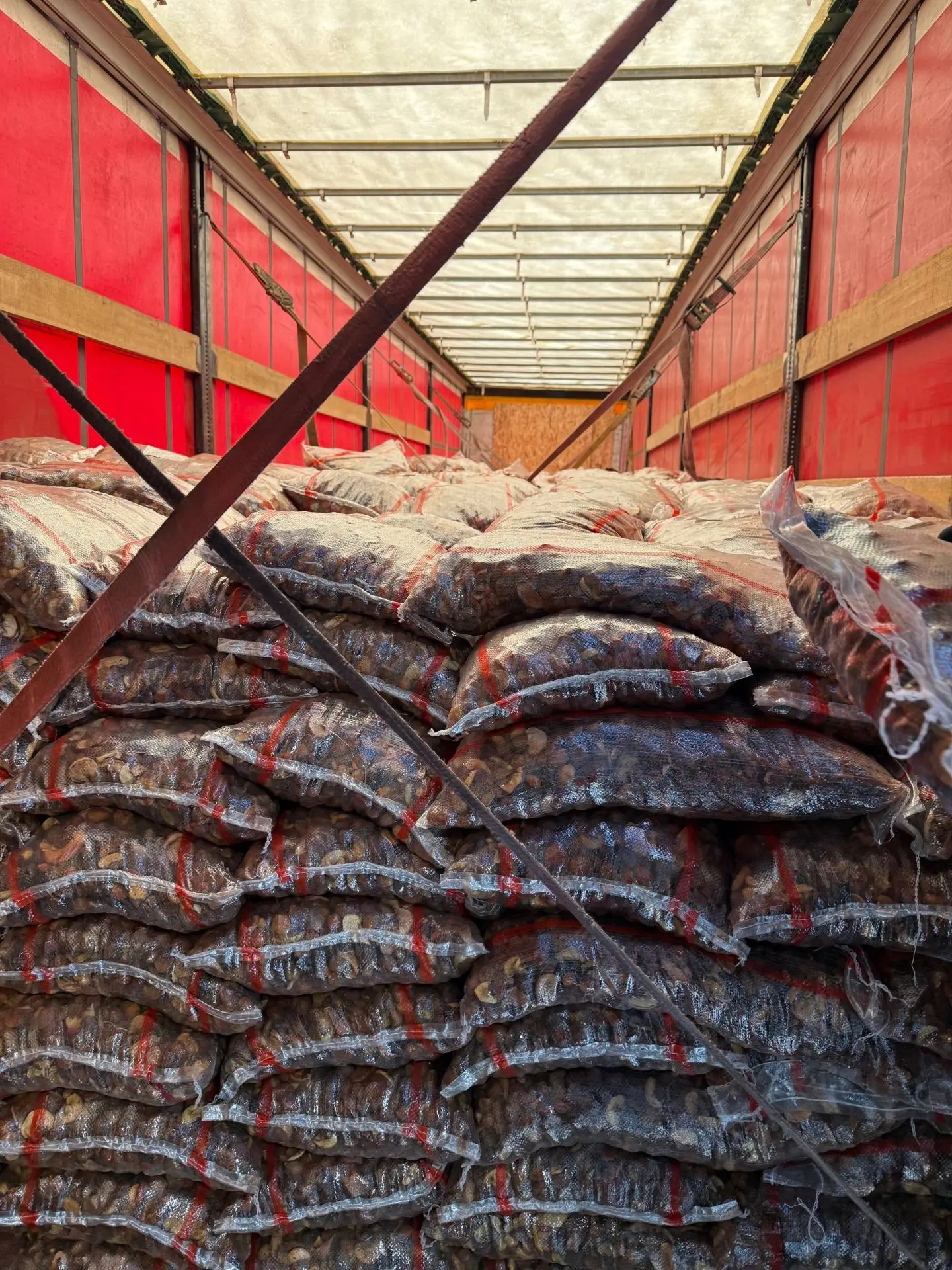 1e455526-01f8-403b-b895-5539aec04f23.webp 1e455526-01f8-403b-b895-5539aec04f23.webp