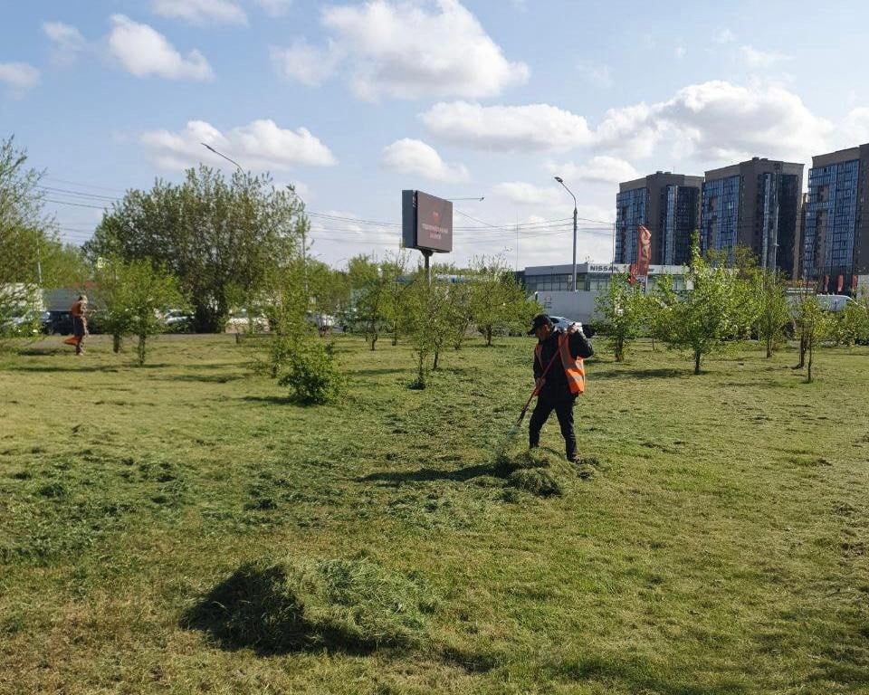 В Красноярске приводят в порядок уличные газоны