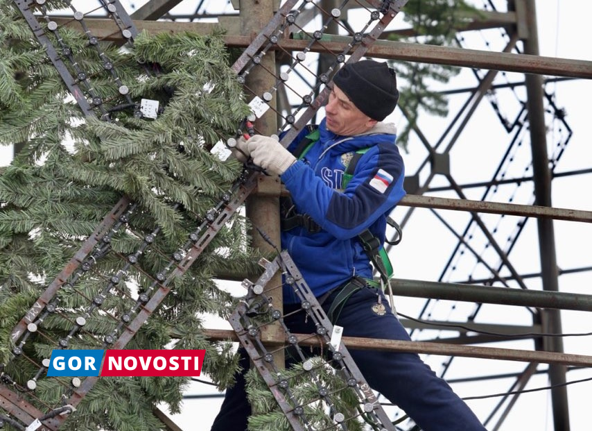 В Красноярске на острове Татышев начали разбирать главную елку города