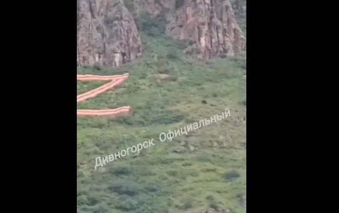 Под Красноярском за несколько дней трижды заметили медведей