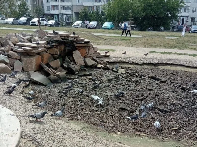 В Красноярске осушили пруд парка имени 400-летия города