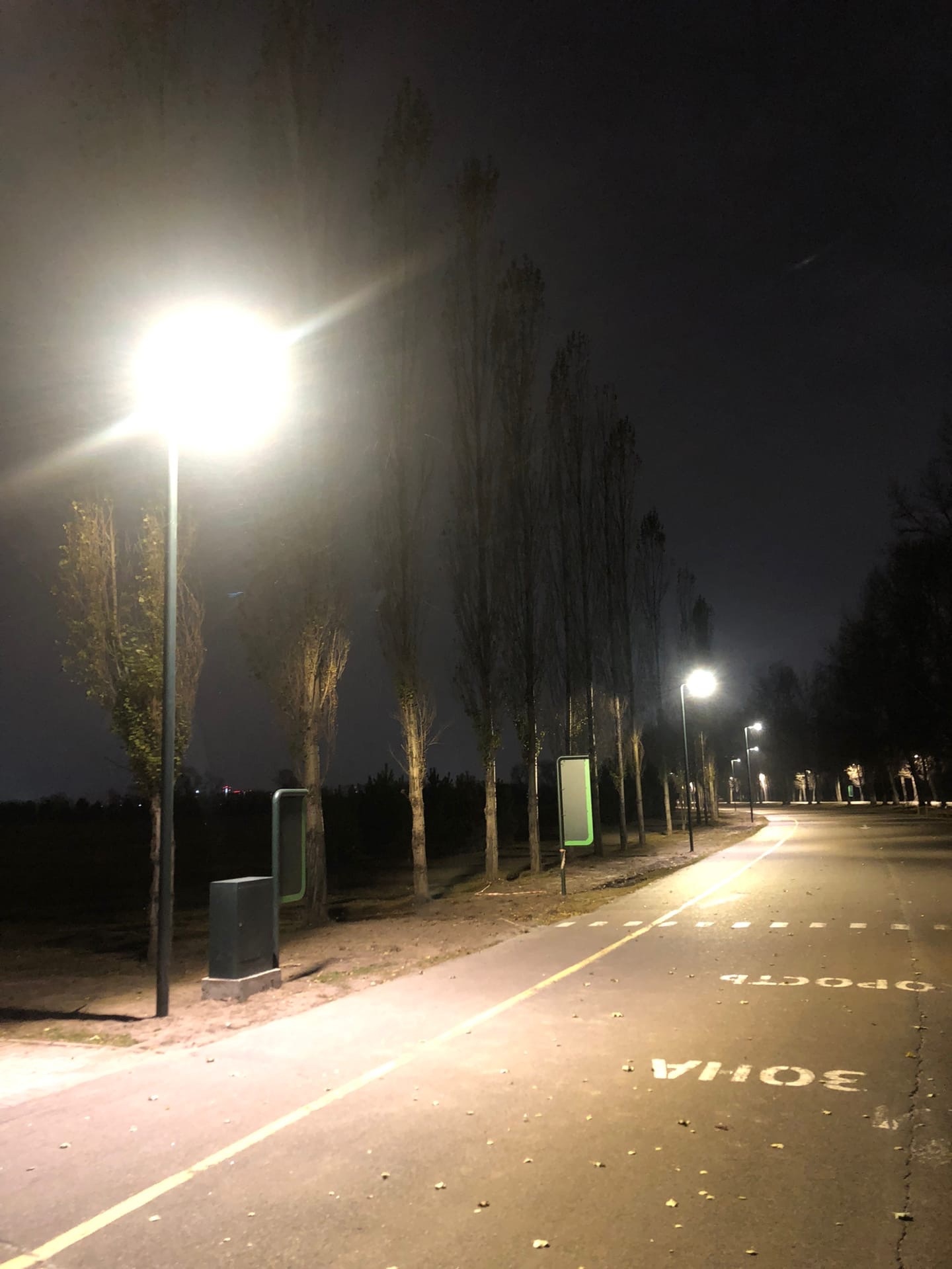 На центральную дорожку Татышев-парка в Красноярске вернули освещение