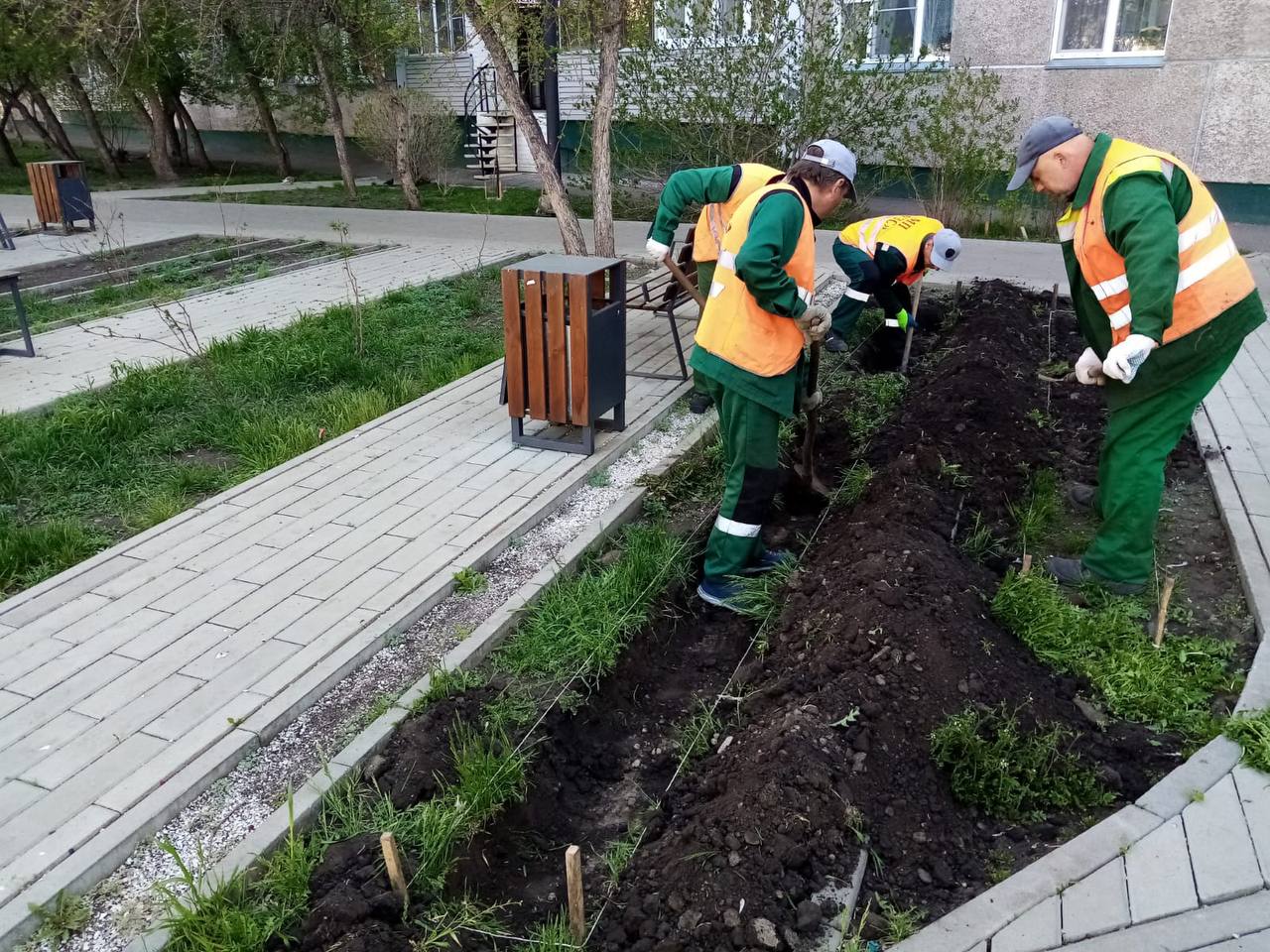 В Красноярске в сквере на Железнодорожников высаживают кустарники