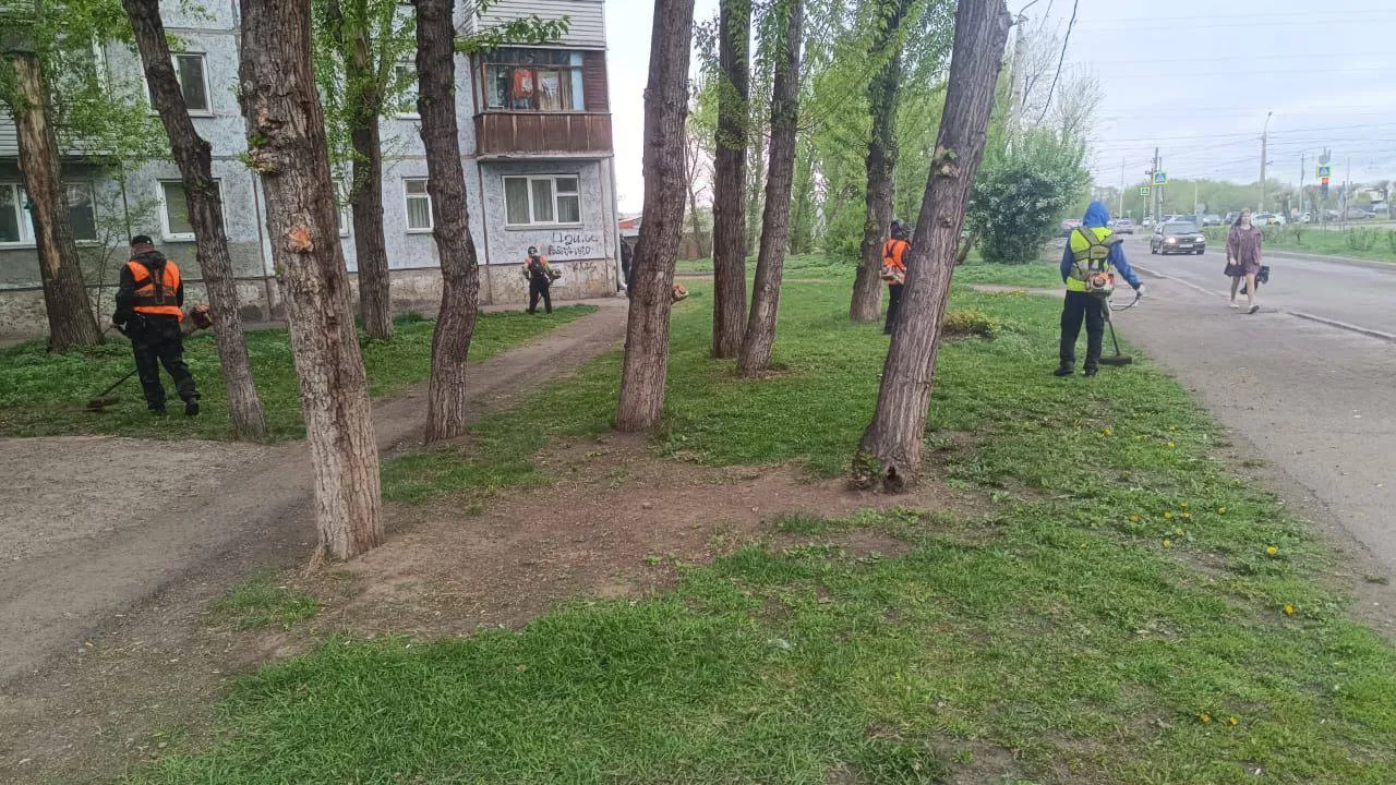 В Красноярске массово косят траву на газонах