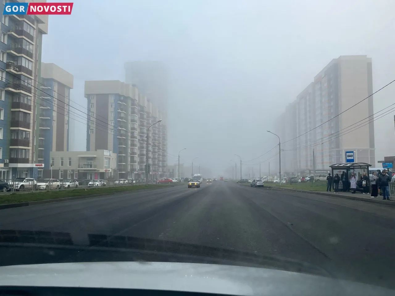 Туман.
Дмитрий Попугин