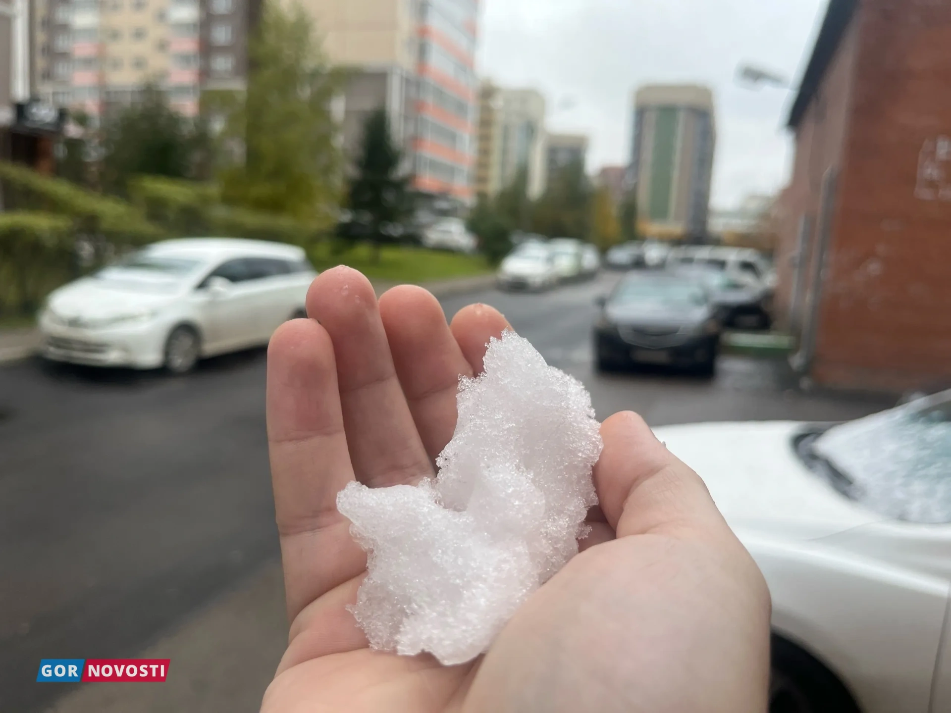 Красноярцы делятся фотографиями первого снега