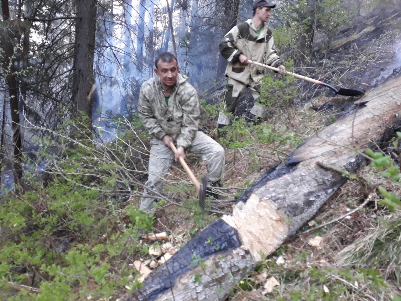 Литау Алексей Викторович1_Предоставлено пресс-службой нацпарка “Красноярские Столбы”.jpg Литау Алексей Викторович1_Предоставлено пресс-службой нацпарка “Красноярские Столбы”.jpg