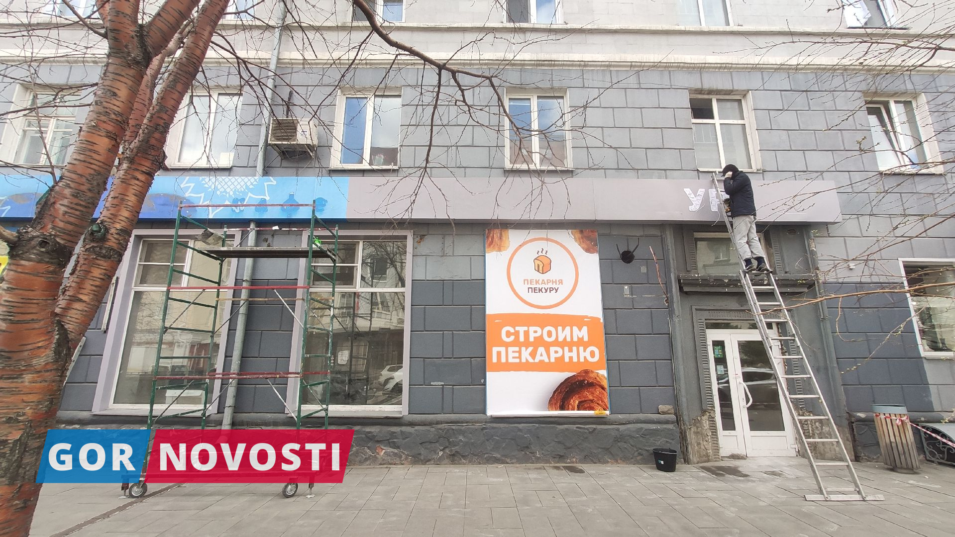 пекуру
Дмитрий Шабалин