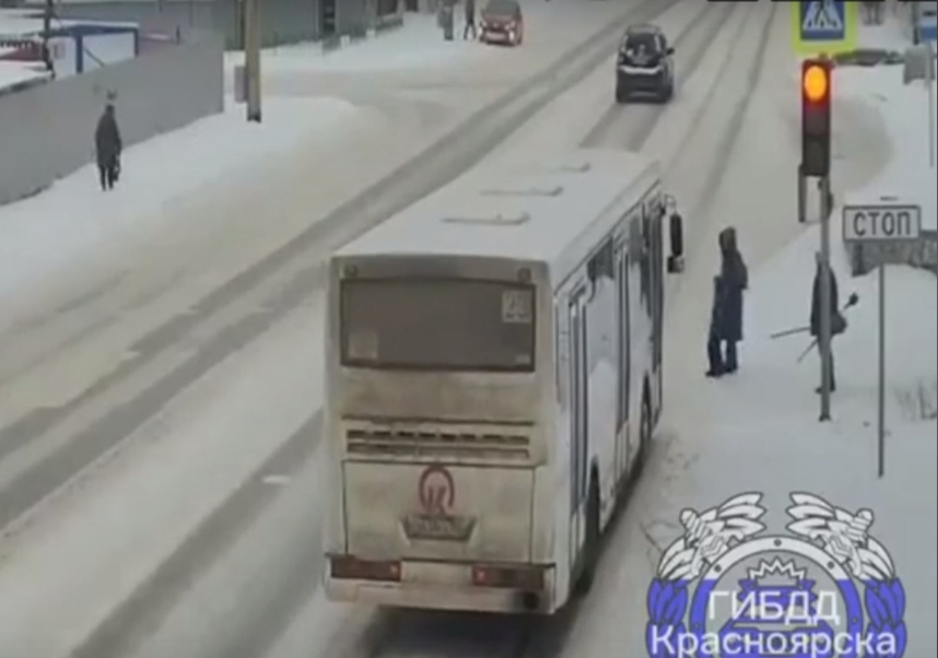 В Красноярске водитель автобуса чуть не сбил на переходе женщину с ребенком