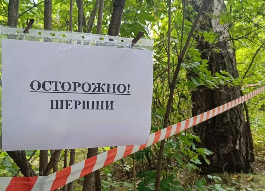 Красноярцев предупредили об опасных насекомых в «Гремячей гриве»