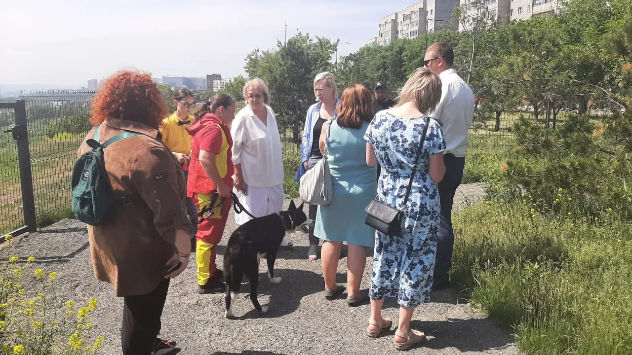 В Красноярске площадку для выгула собак на набережной «Зеленый берег» проверили кинологи