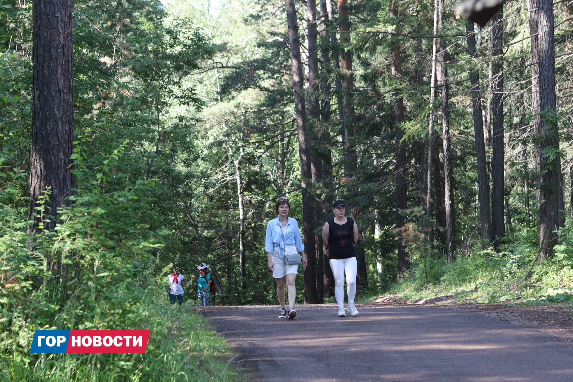 В МЧС предупредили о главных рисках августа в Красноярском крае