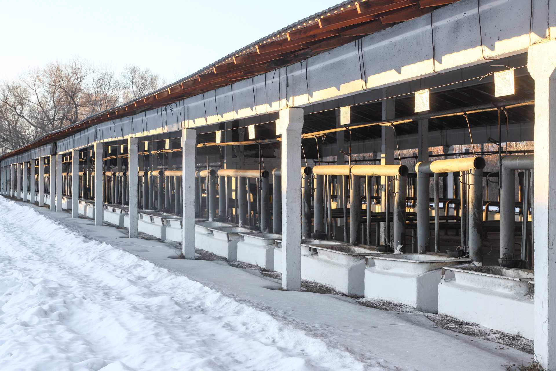 D-IMG_0444.jpg D-IMG_0444.jpg