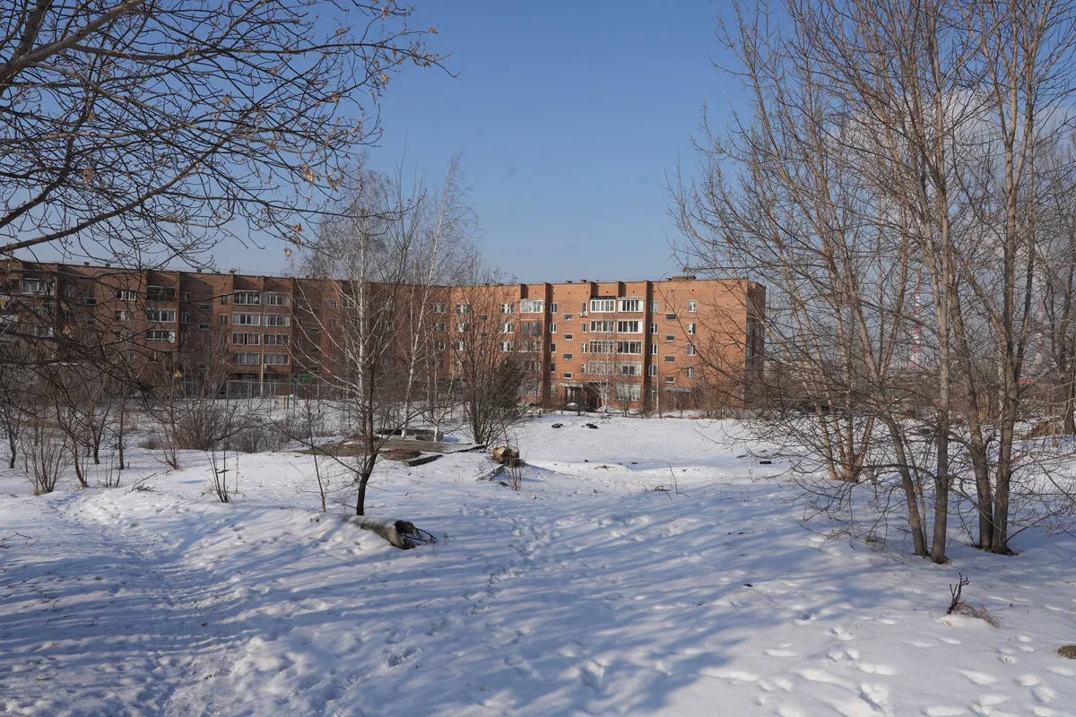В Красноярске ищут подрядчика для благоустройства сквера на Борисевича