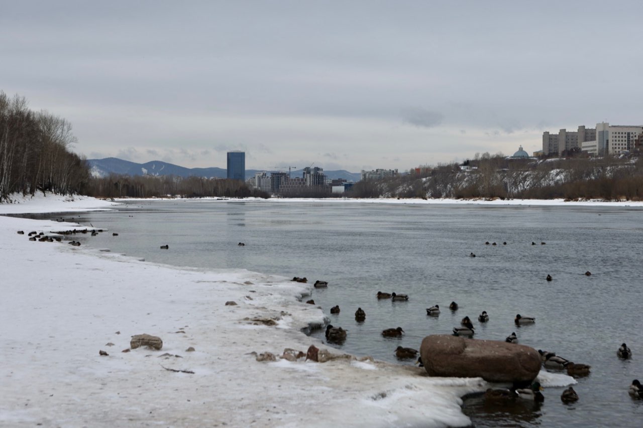 В Красноярск пришла плюсовая температура