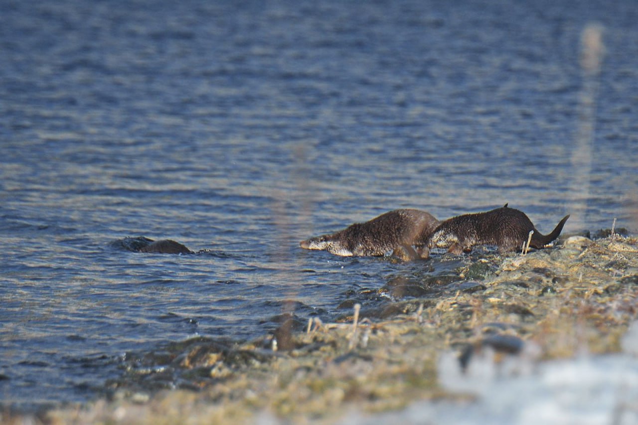 photo_2026-02-17_10-03-15.jpg photo_2026-02-17_10-03-15.jpg