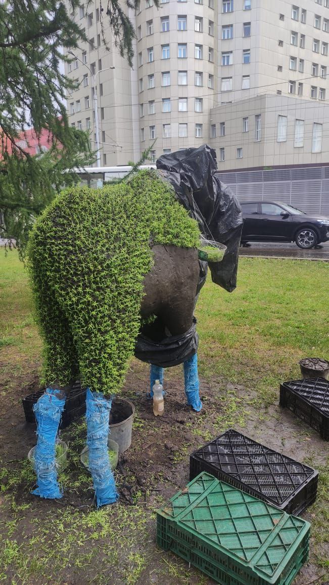 узс лосенок