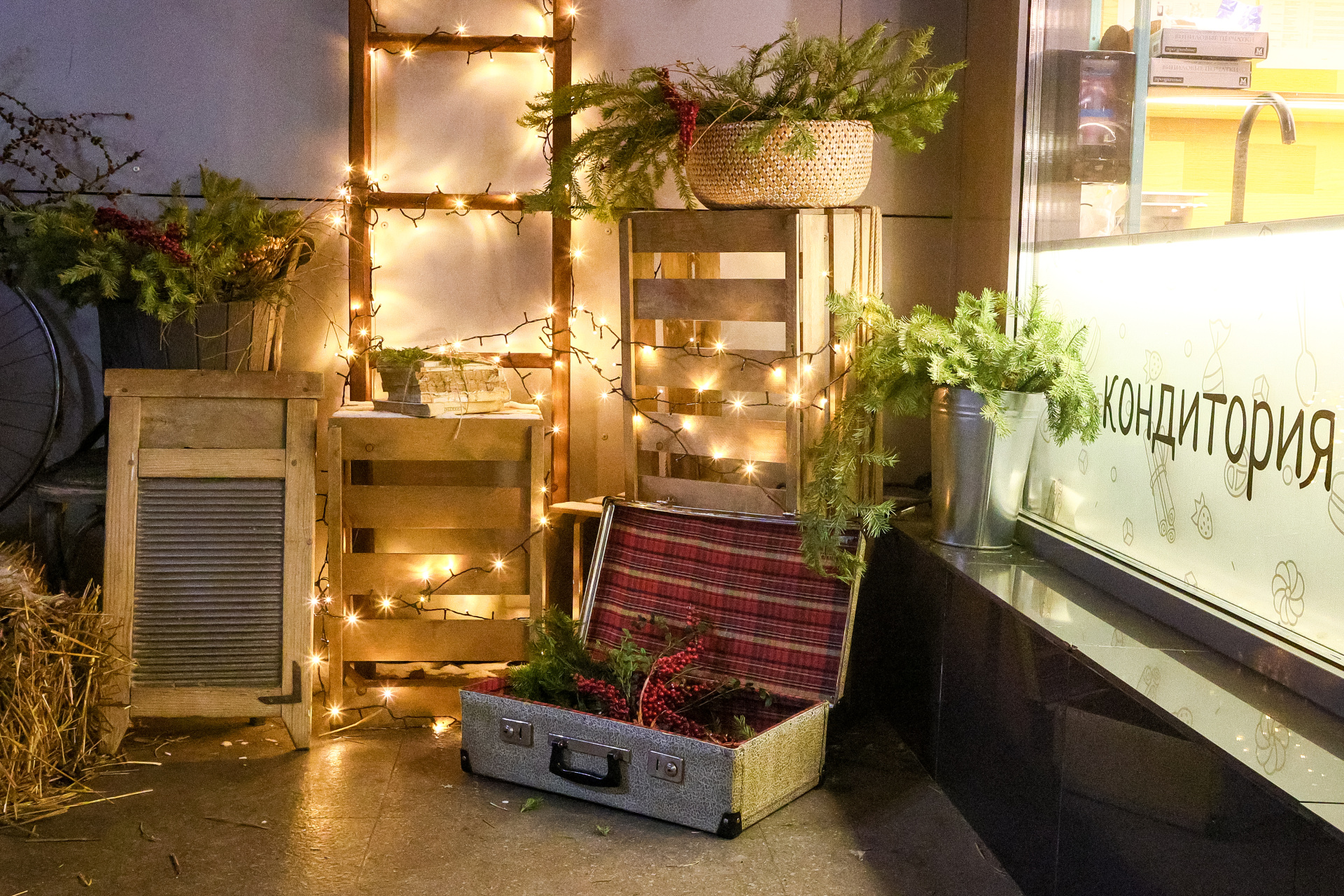 Фото: Дмитрий Шабалин