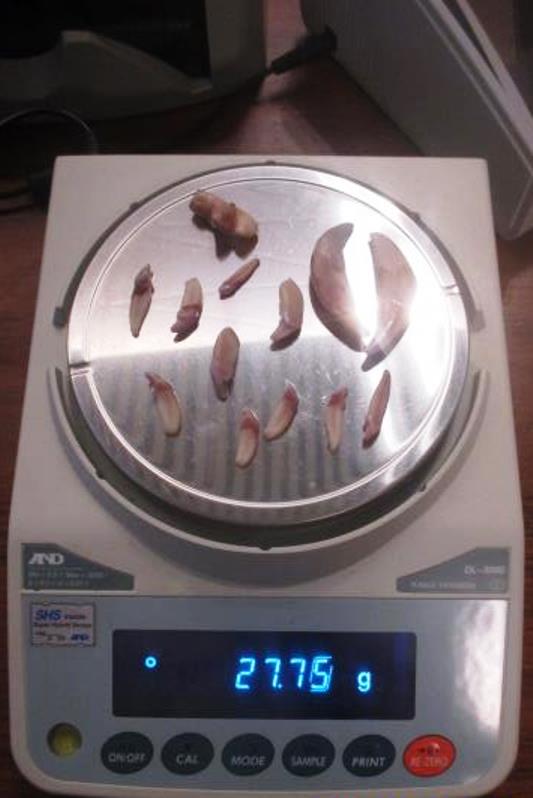 Фото6 Красноярская таможня Фото6 Красноярская таможня