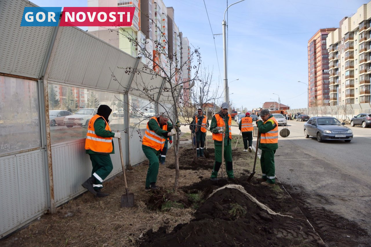 поликлиника в покровском