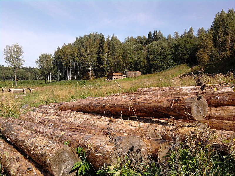 В Канском районе из-за нарушений приостановили работу двух лесоперерабатывающих предприятий