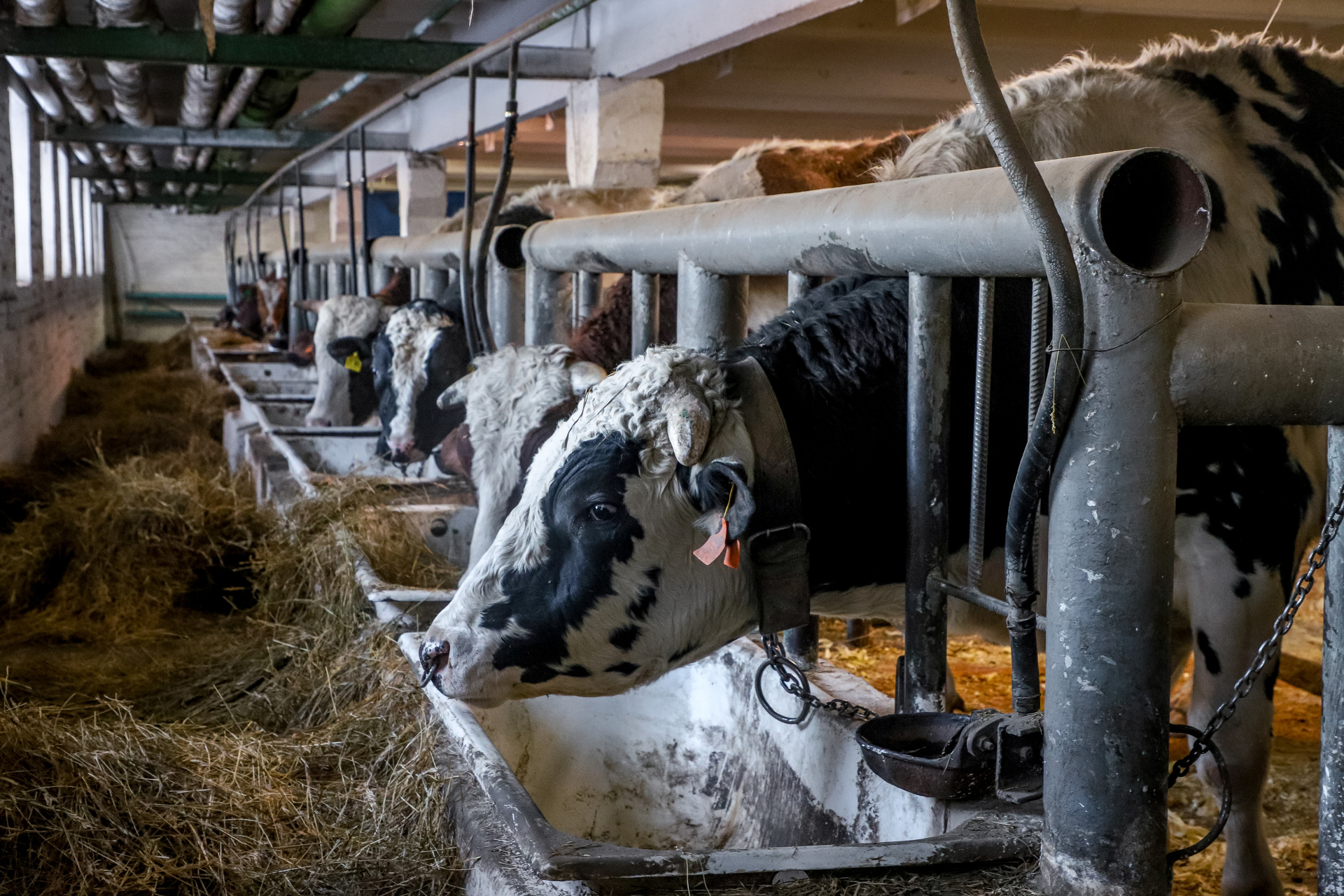 Фото: Дмитрий Шабалин Фото: Дмитрий Шабалин