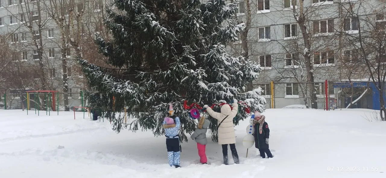 «Беречь природу и дружить домами». Красноярцы создают новогоднее настроение соседям и прохожим