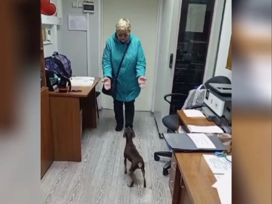 В Канске дежурная по вокзалу спасла отбившуюся от поезда собаку
