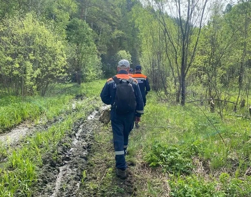 В Красноярском крае спасли потерявшихся в лесу грибников