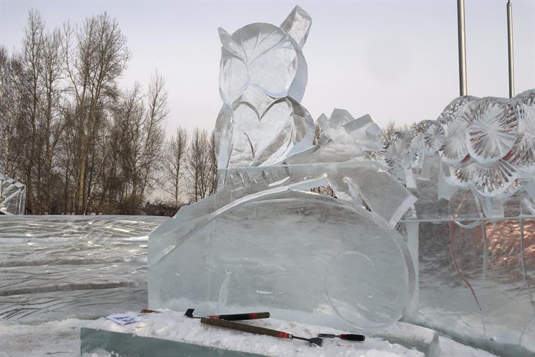 В Красноярске в Татышев-парке начали строить ледовый городок