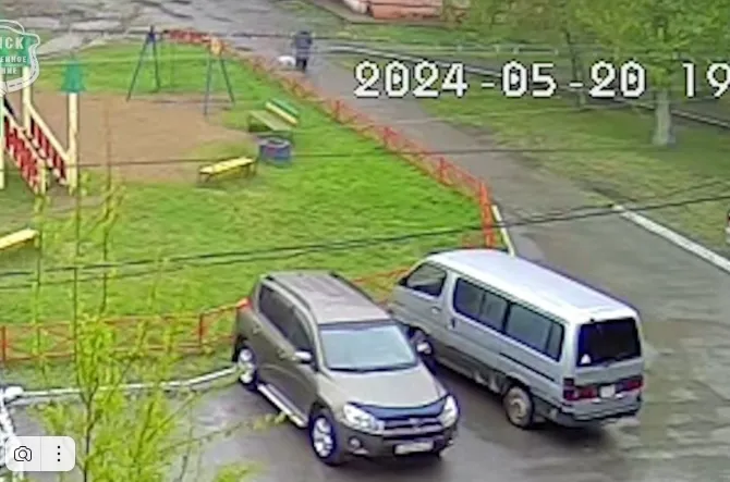 В Красноярском крае нашли владельца бойцовской собаки, которая загрызла чихуахуа