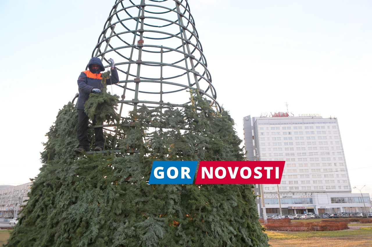 В Красноярске на Предмостной площади за 1 млн рублей установят новогоднюю ёлку