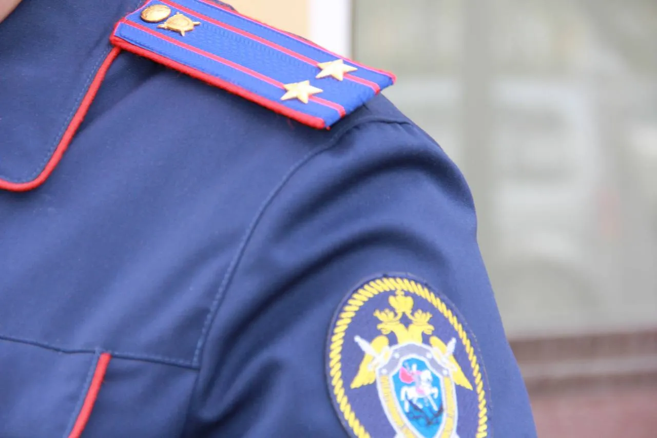 Жителя Красноярского края осудят за демонстрацию нацистской свастики в соцсетях